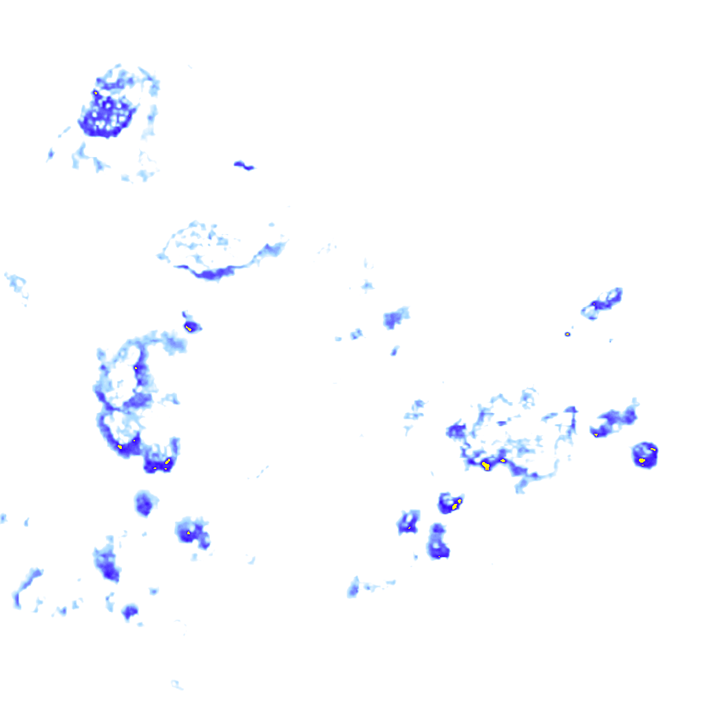 Image Layer