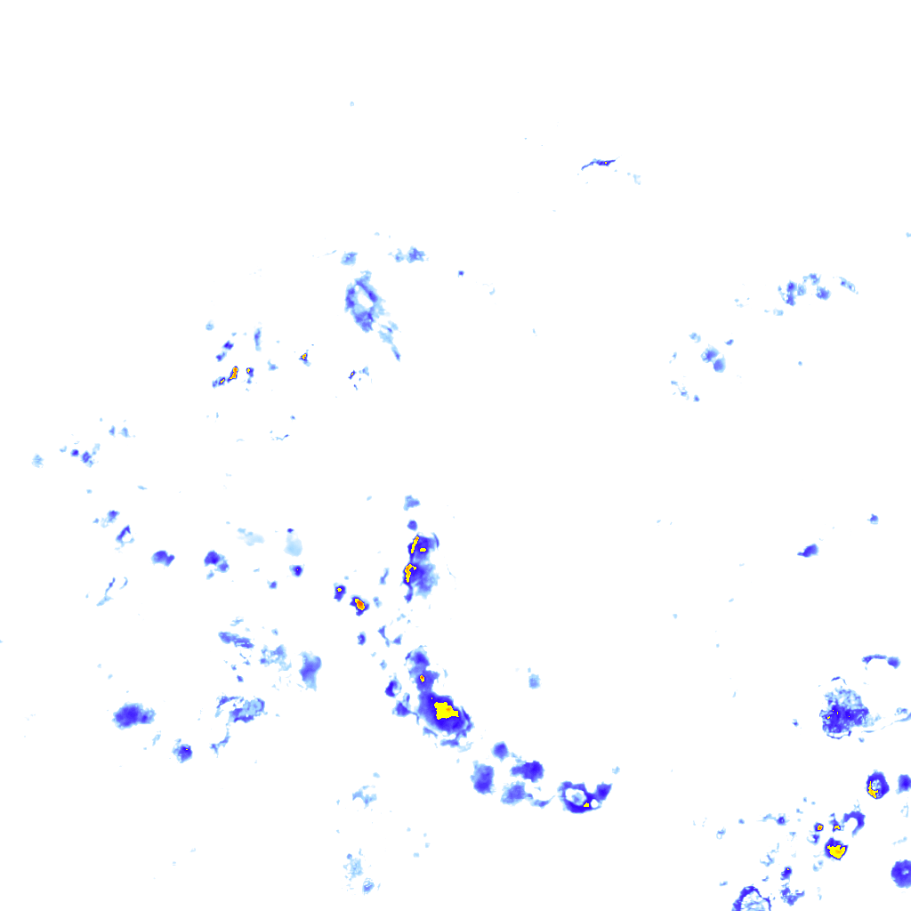 rainLayer