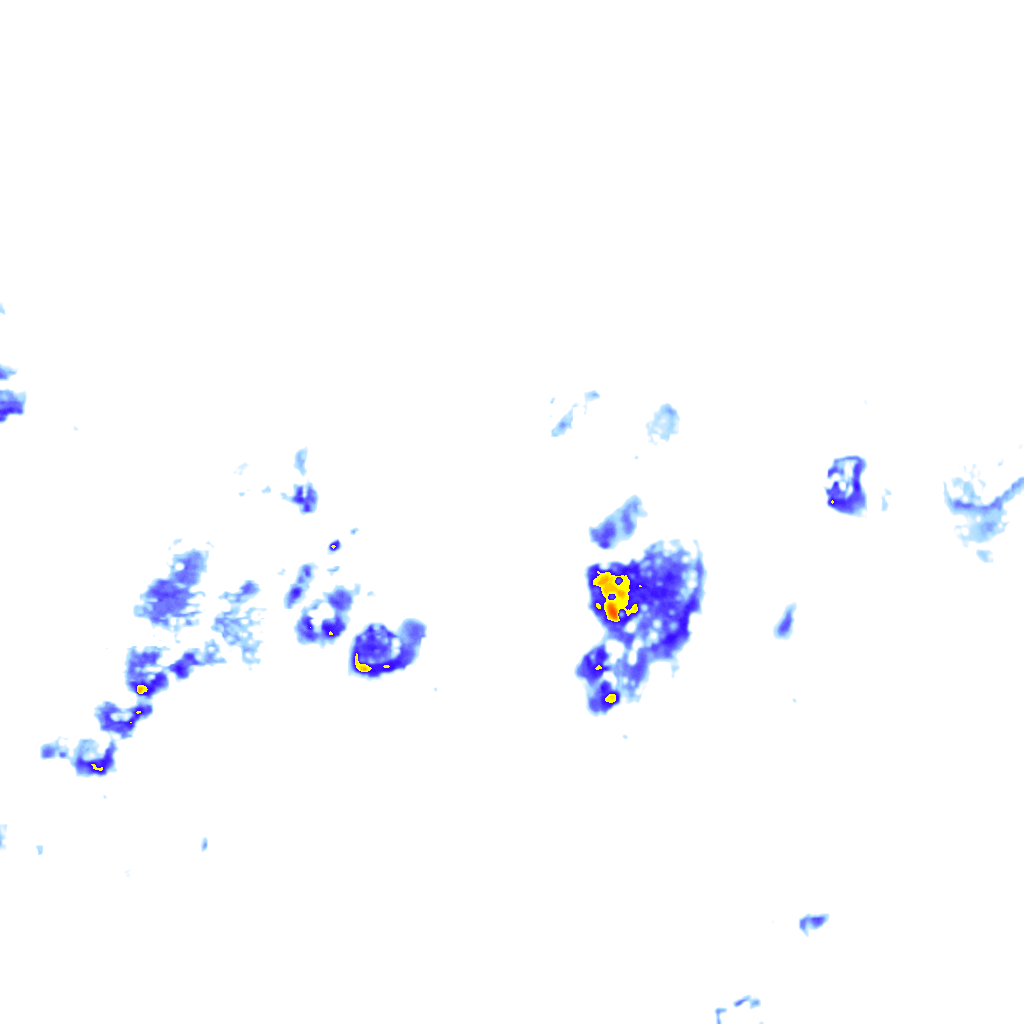 rainLayer