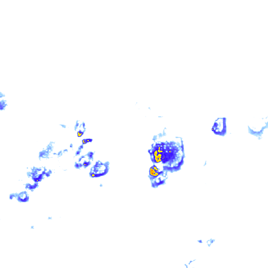 Image Layer