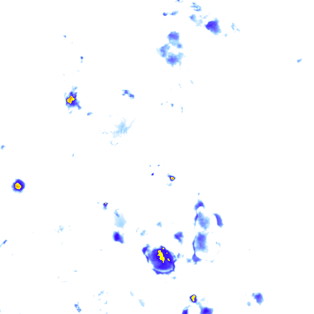 rainLayer