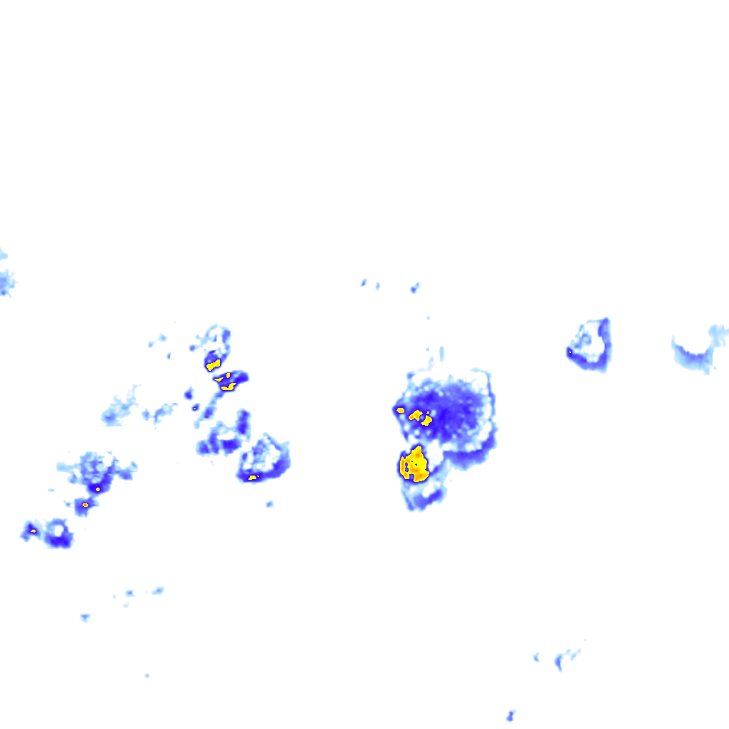 rainLayer