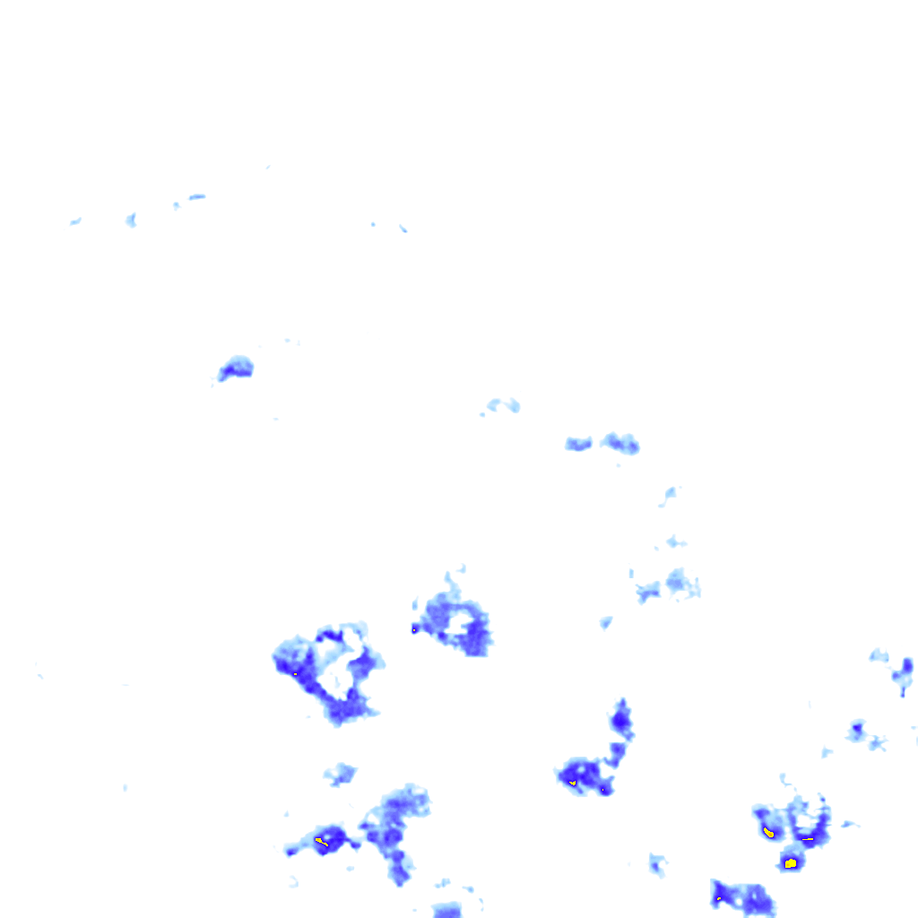 rainLayer