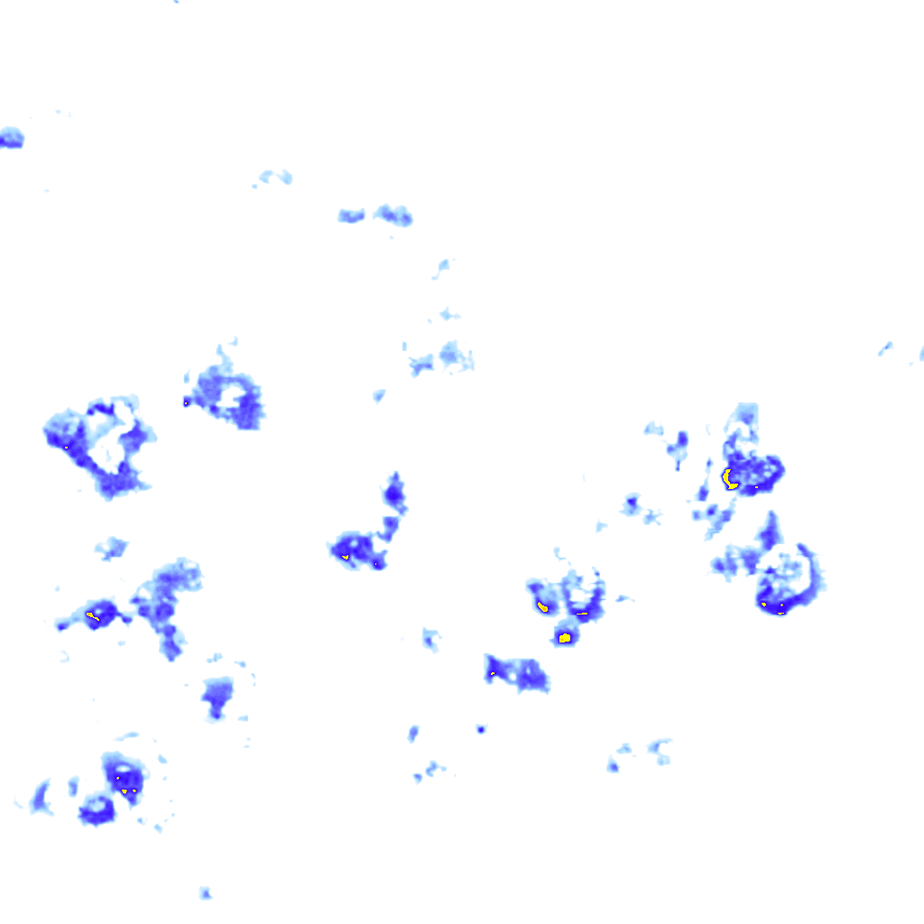 rainLayer