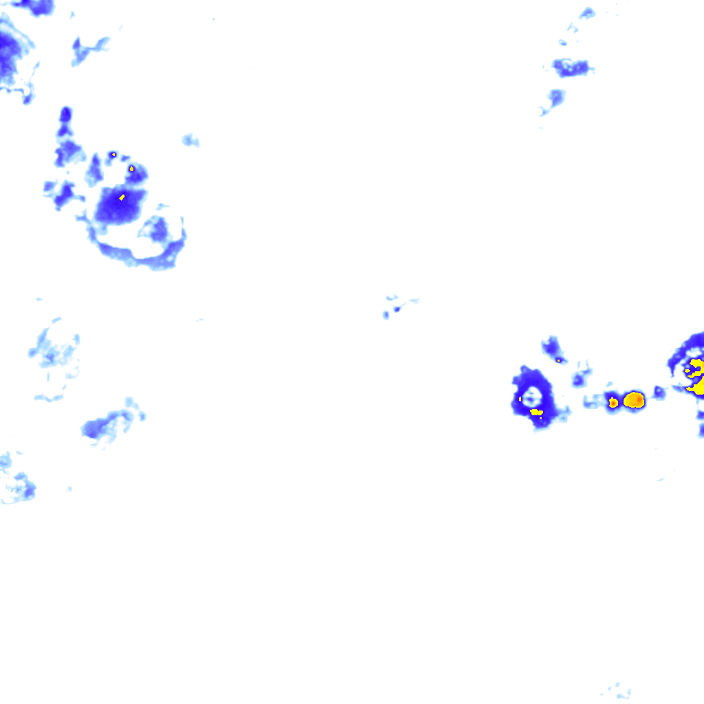 rainLayer