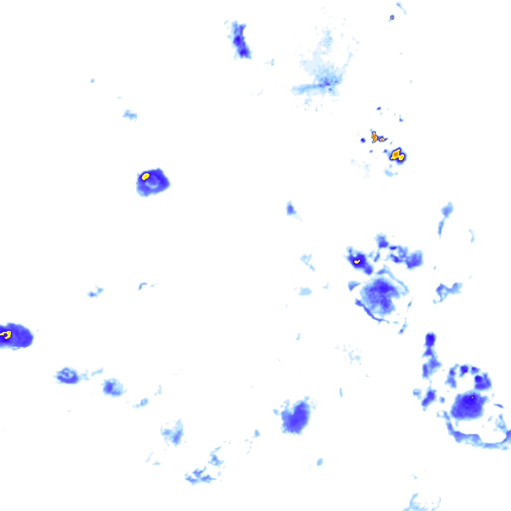 Image Layer