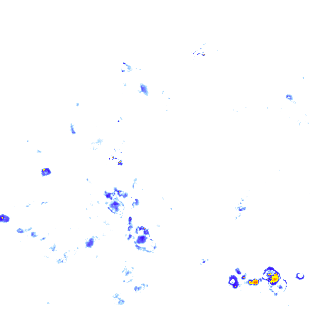 rainLayer