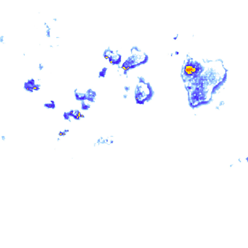 rainLayer