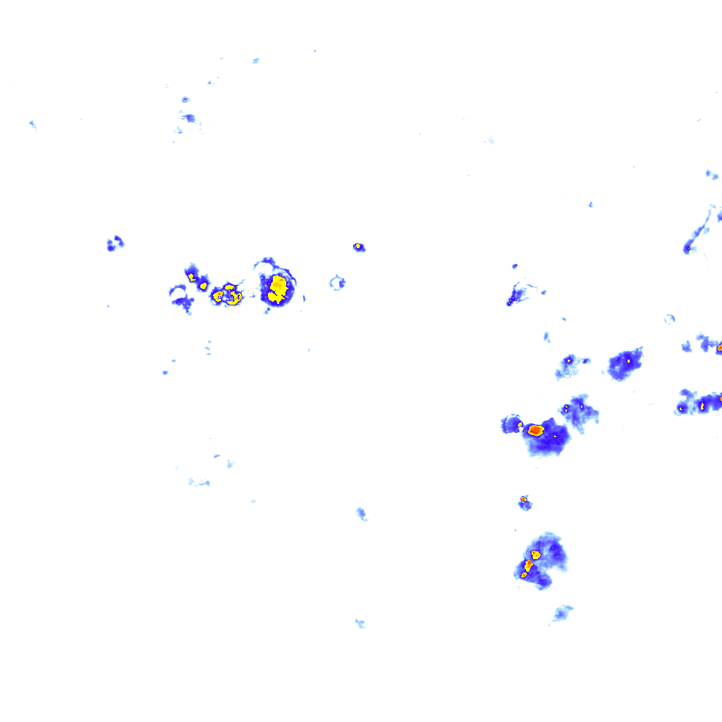 rainLayer