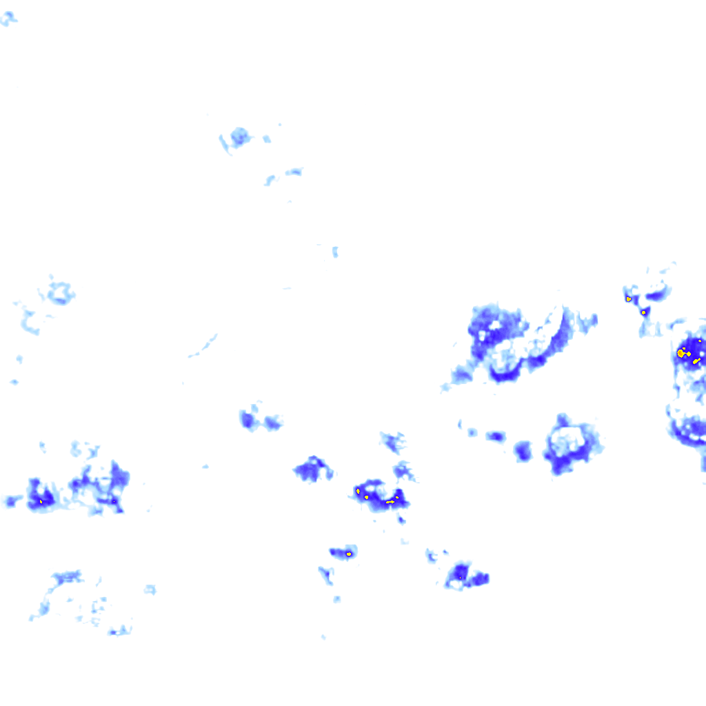 rainLayer