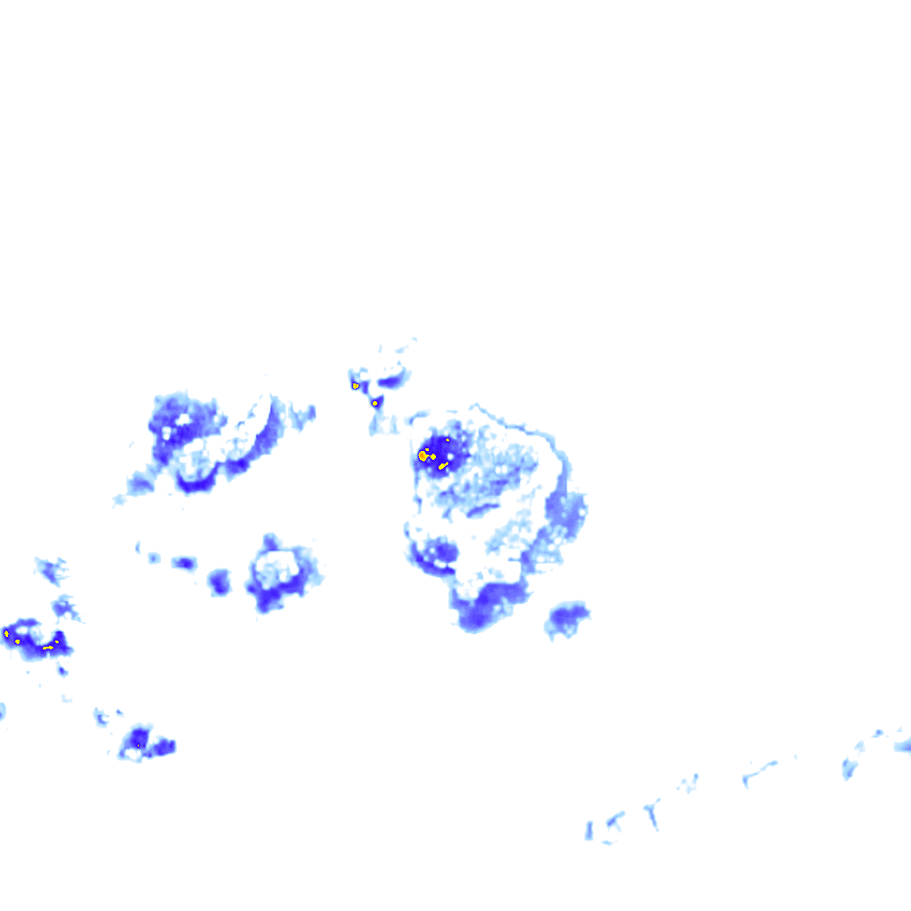 Image Layer