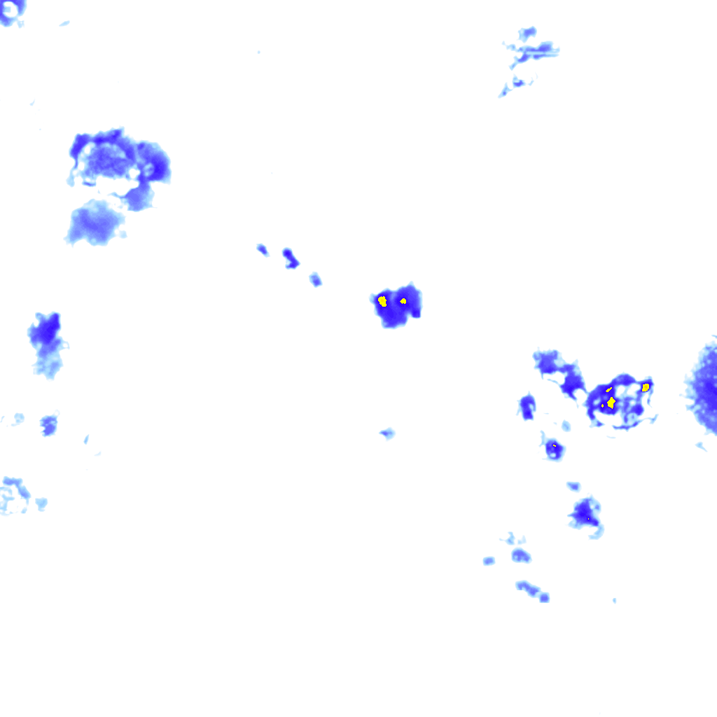 rainLayer