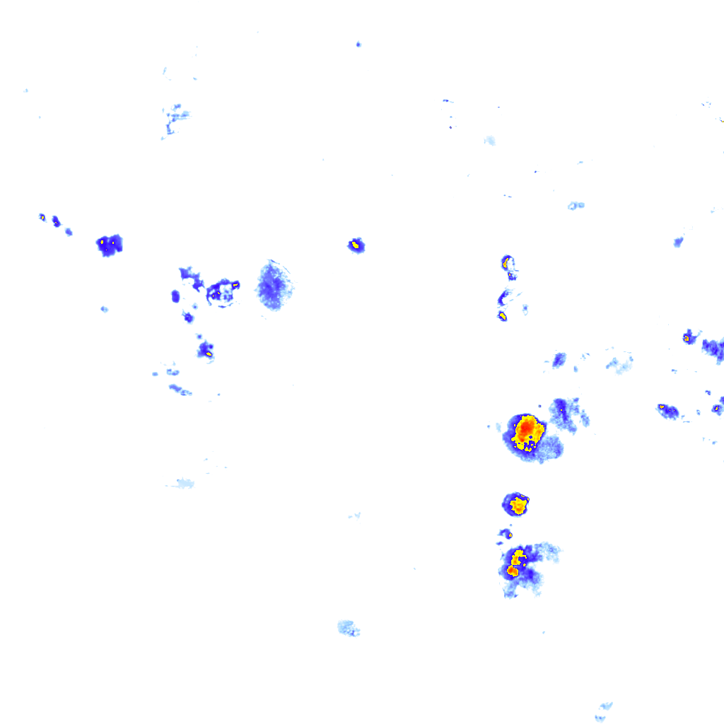 rainLayer