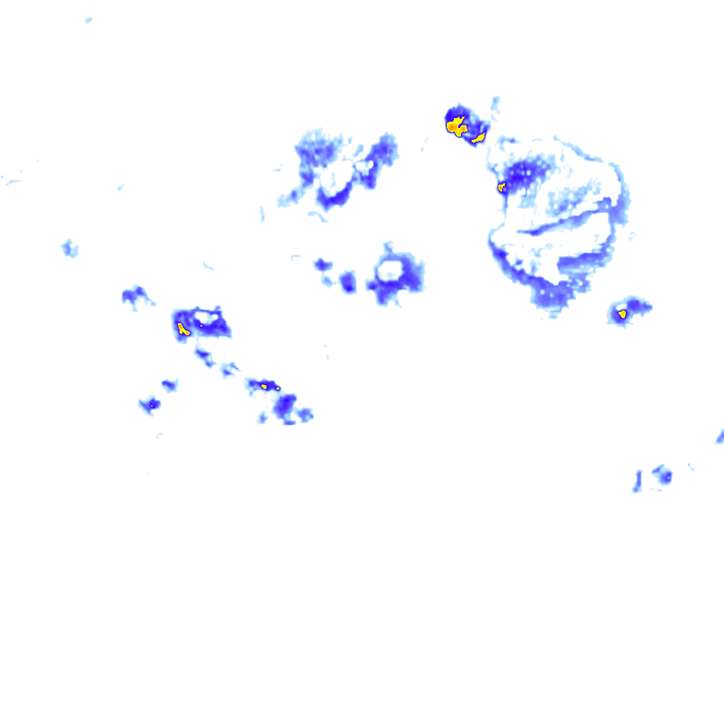 Image Layer