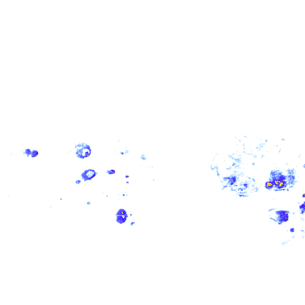 rainLayer