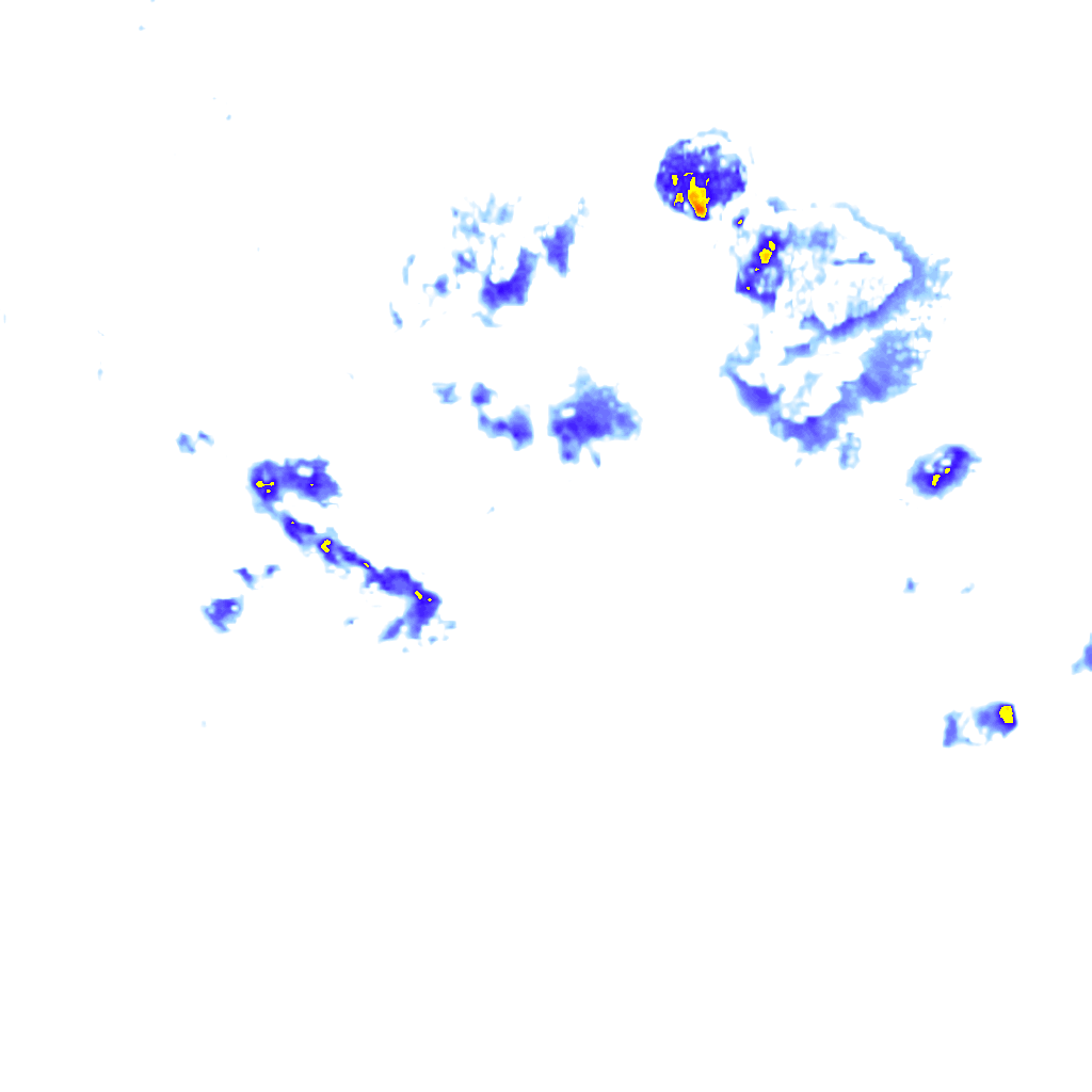 rainLayer