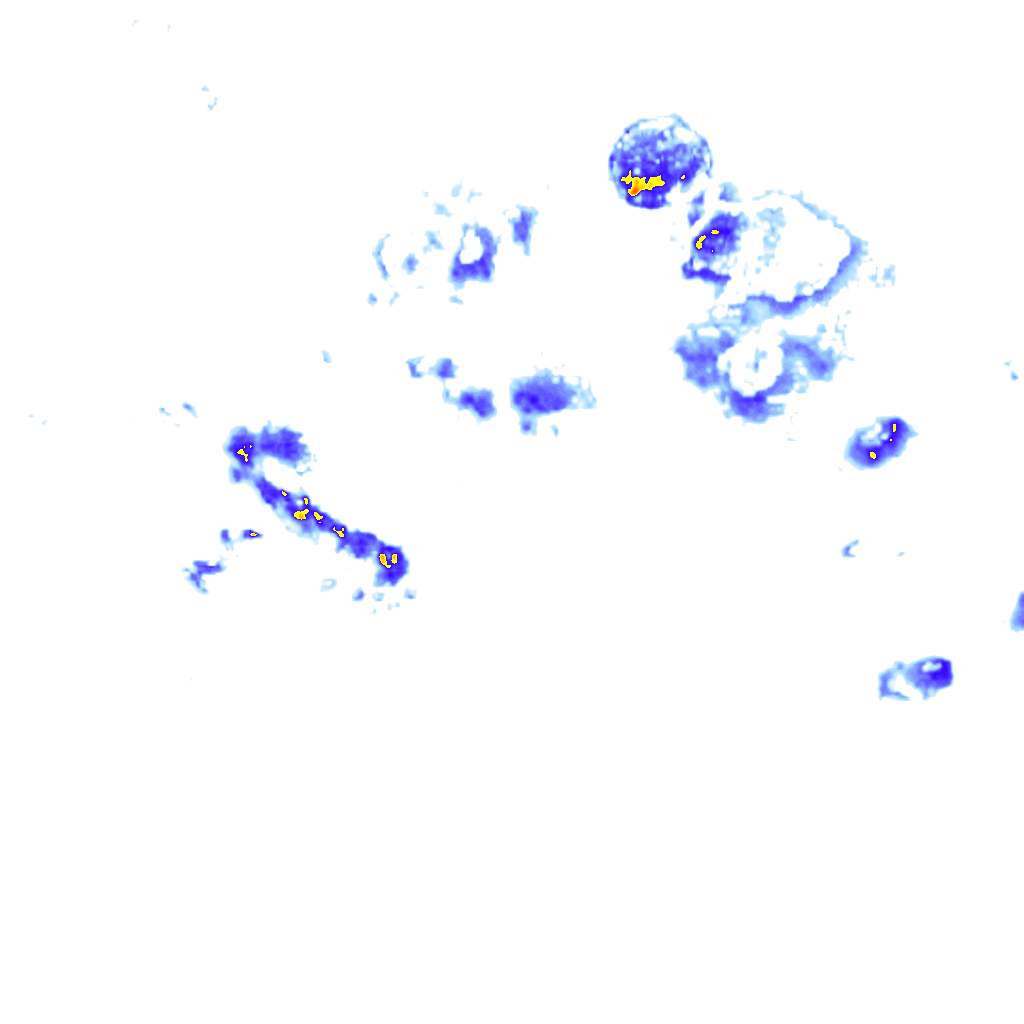 Image Layer