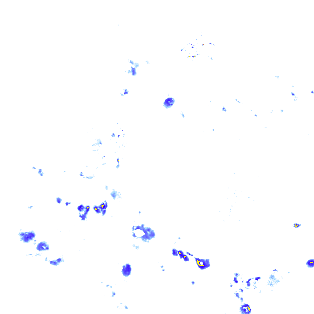 rainLayer
