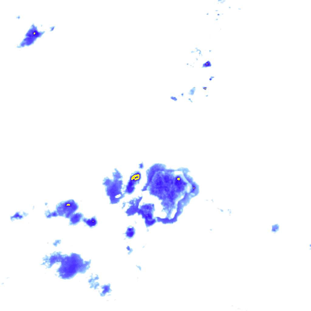 Image Layer