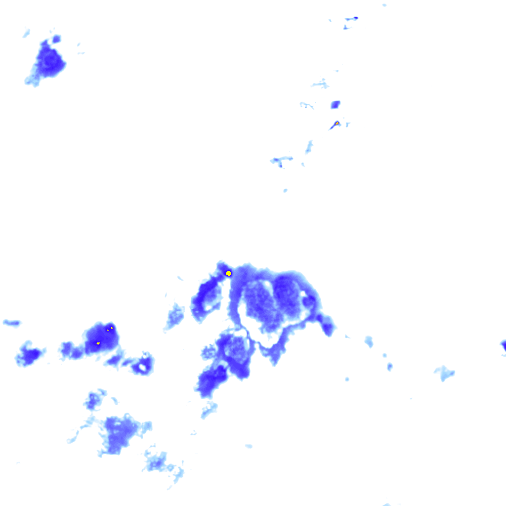 Image Layer