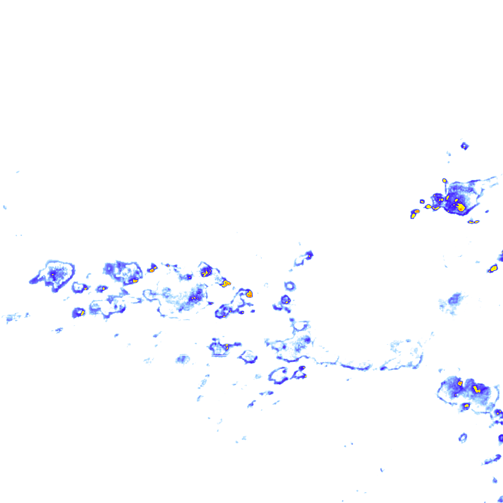 rainLayer