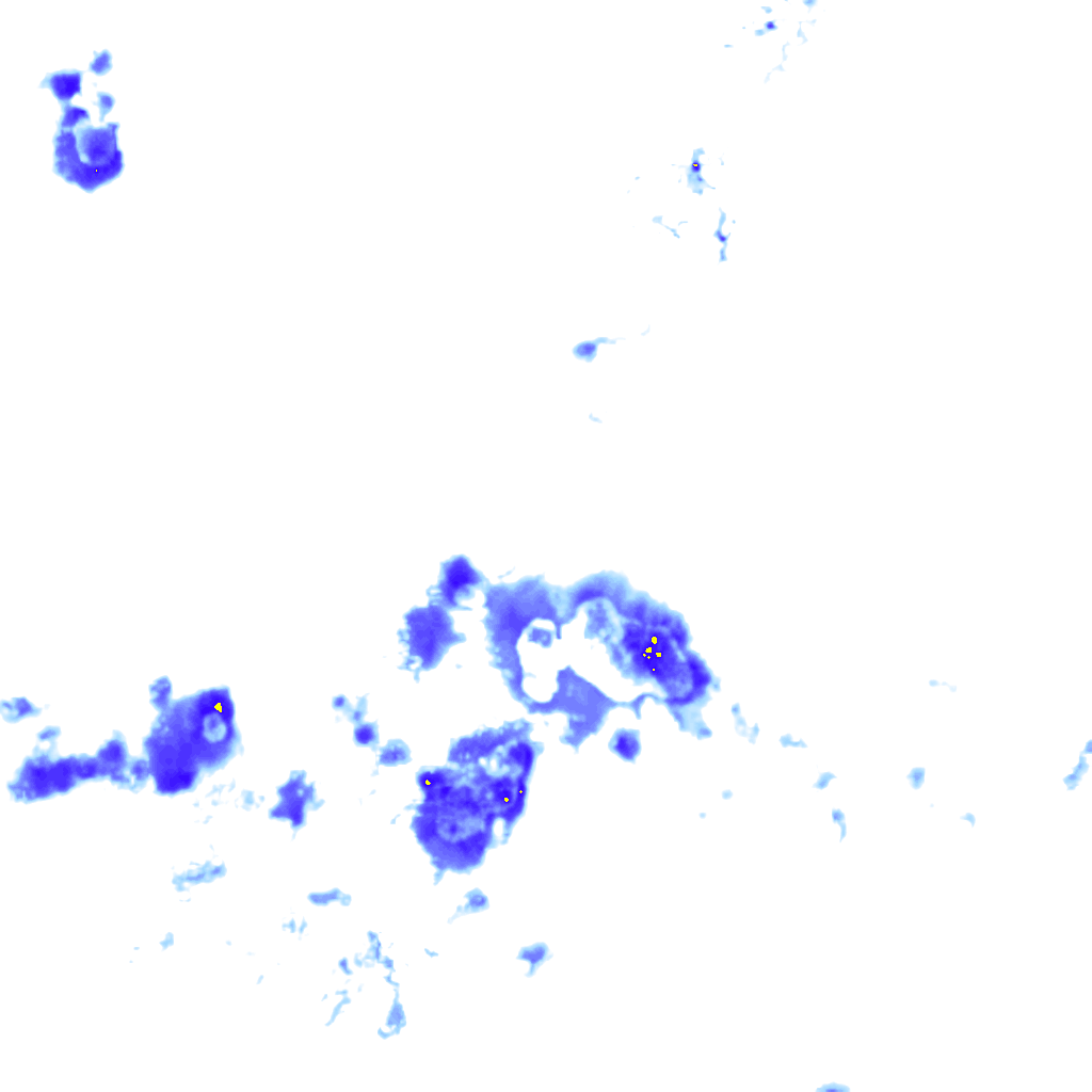 rainLayer
