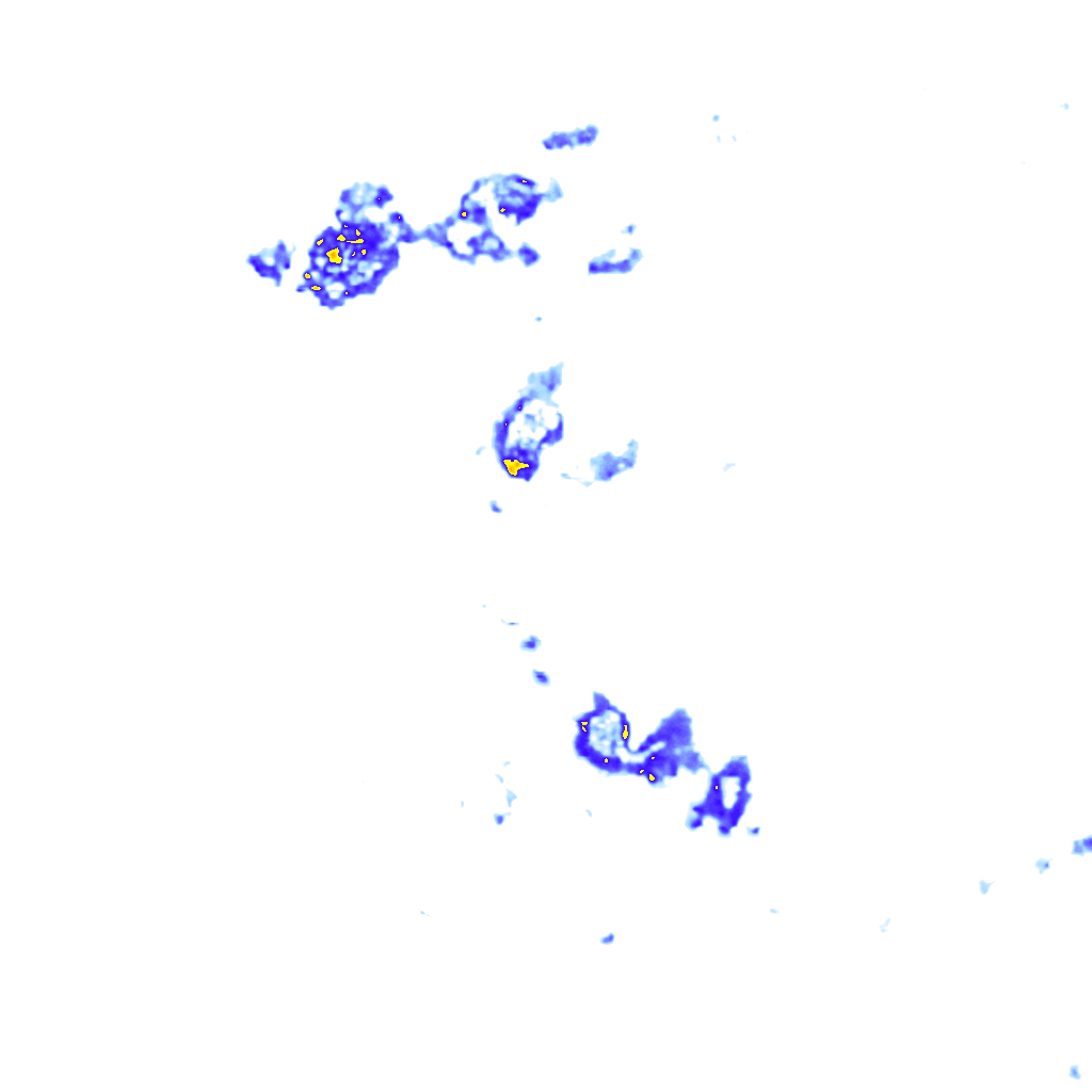 Image Layer