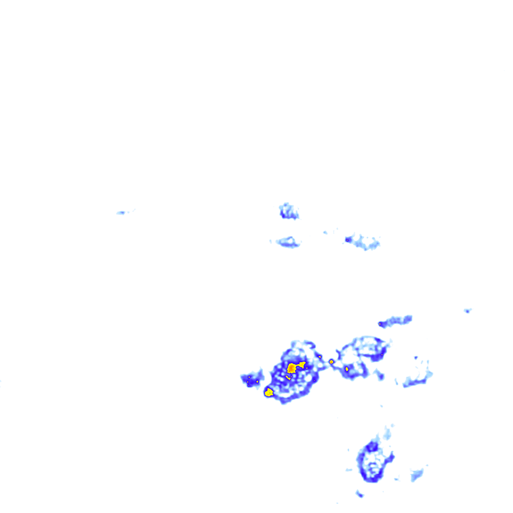 Image Layer