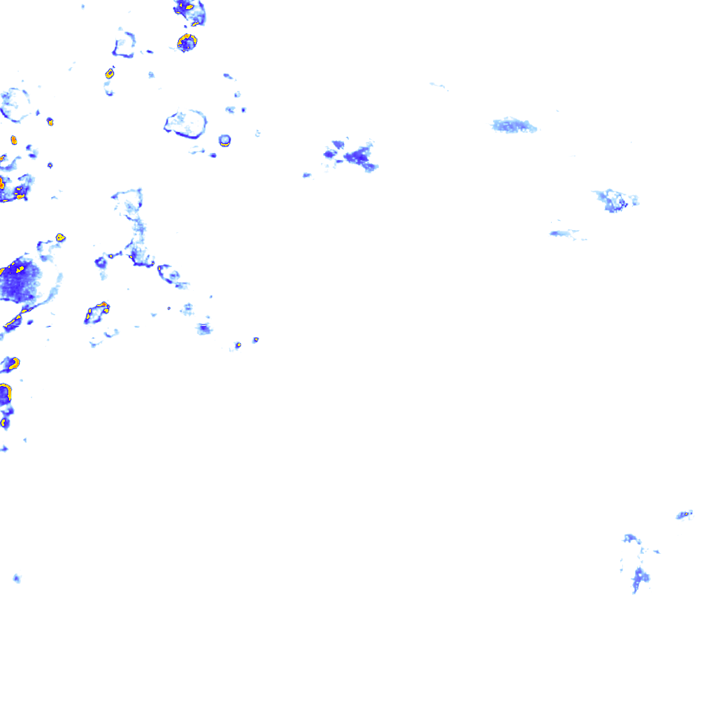 rainLayer