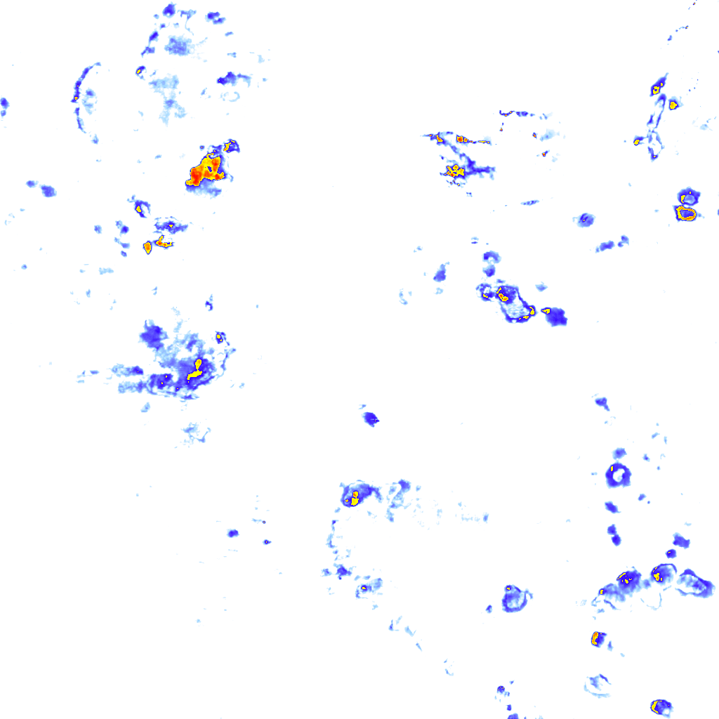 rainLayer