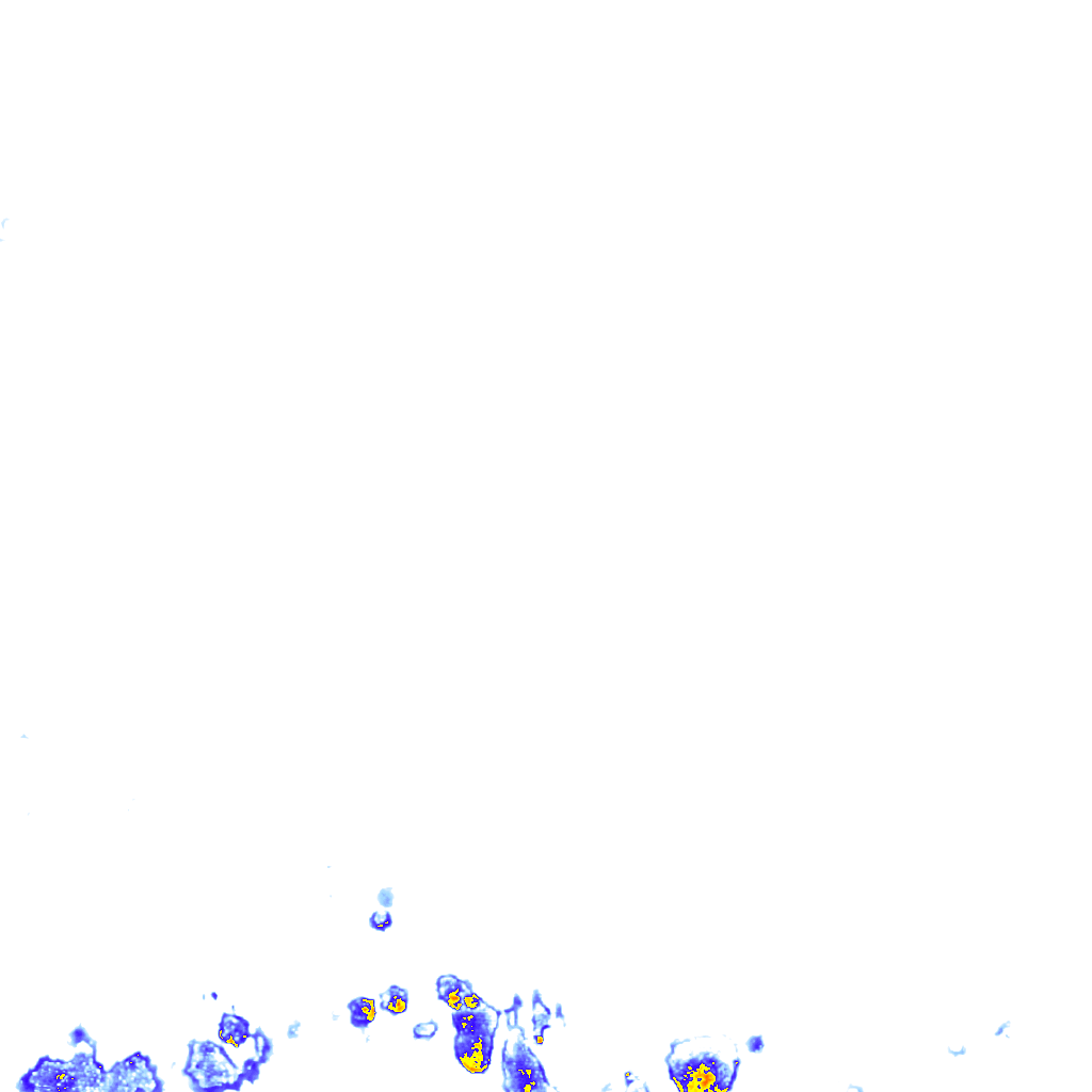 rainLayer