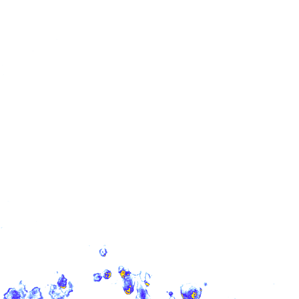 rainLayer