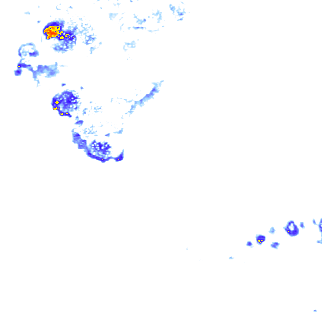 rainLayer