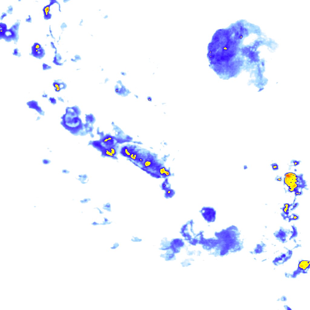 rainLayer