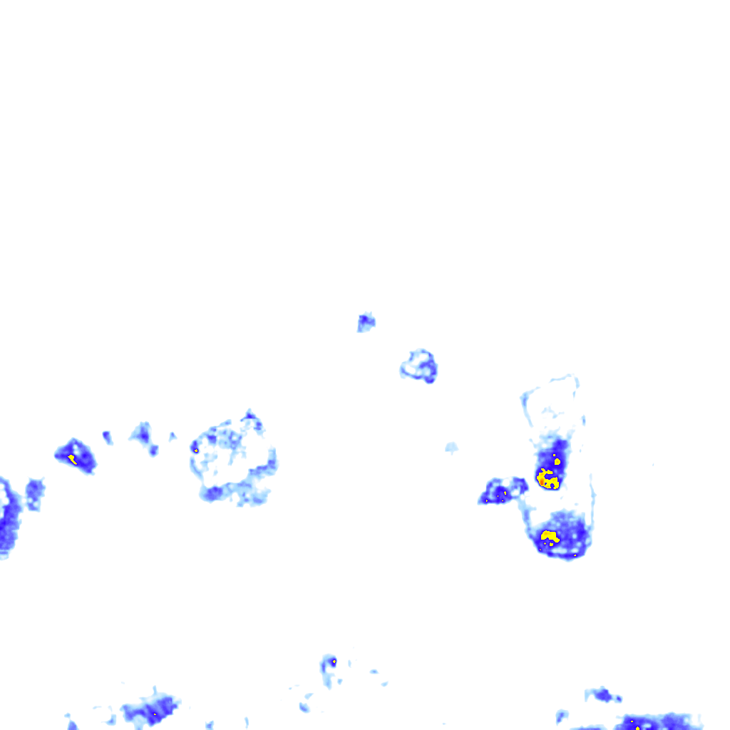 rainLayer