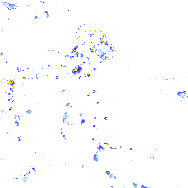 rainLayer