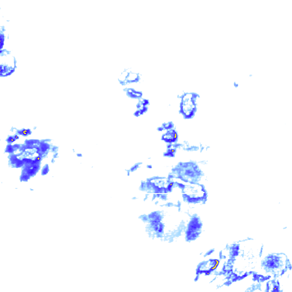 Image Layer