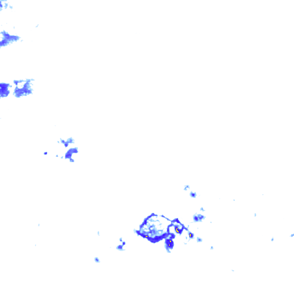 rainLayer
