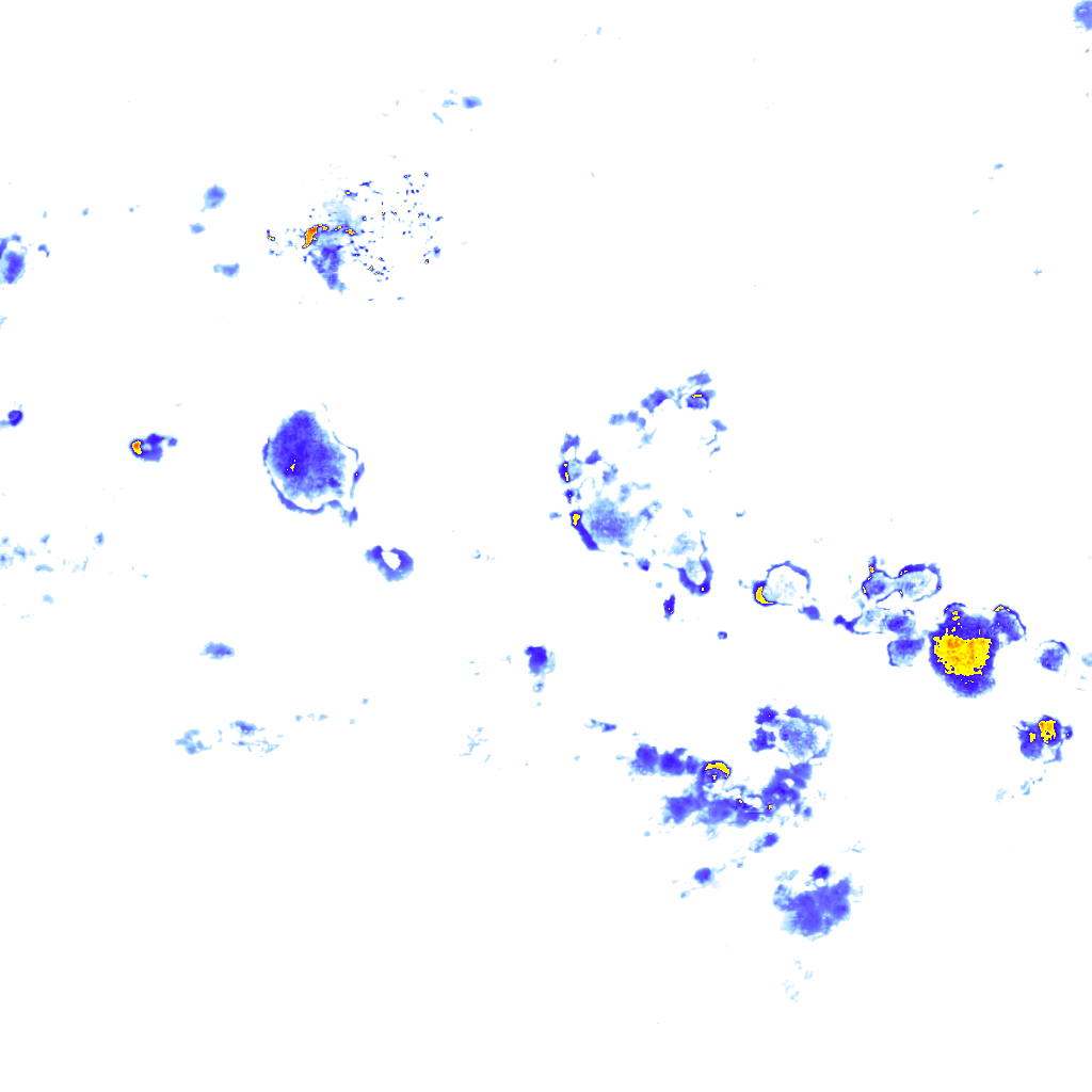 rainLayer