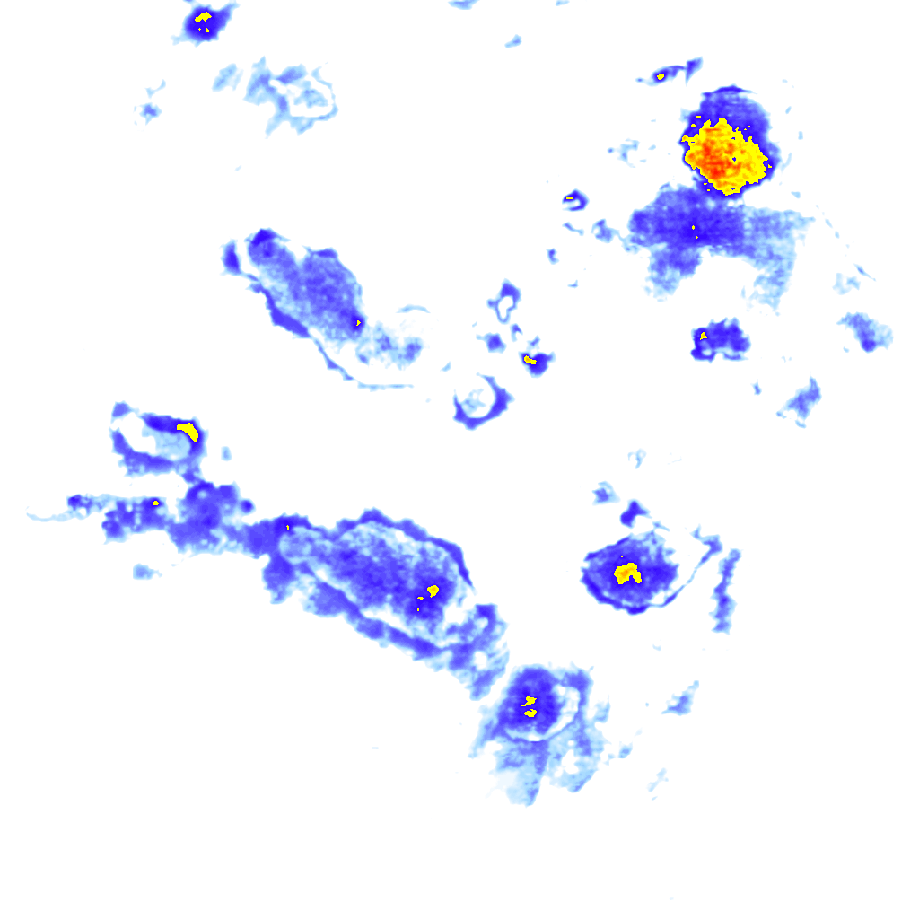 Image Layer