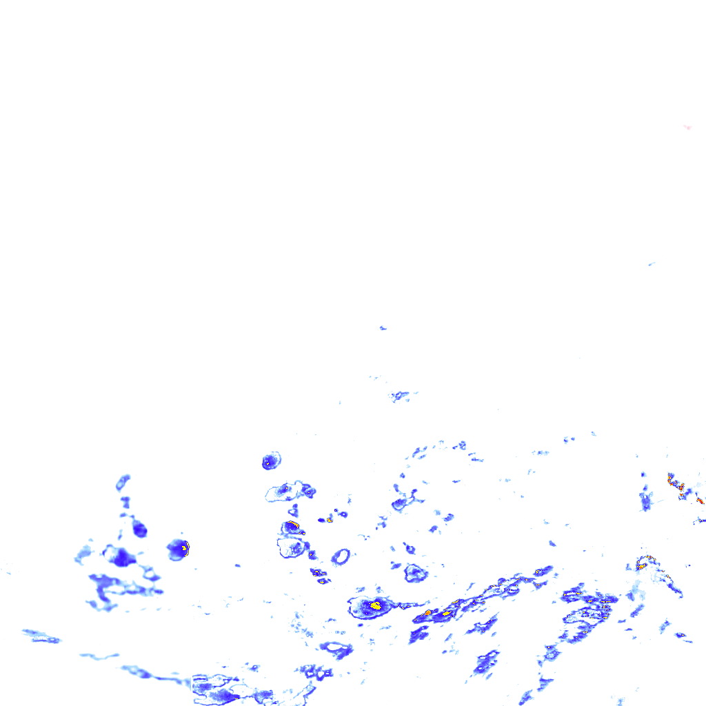 rainLayer