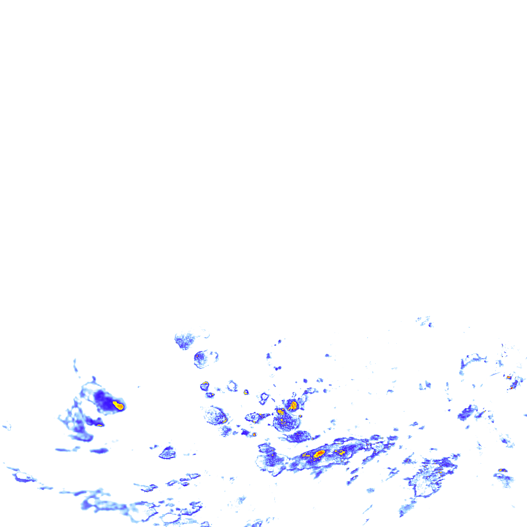rainLayer