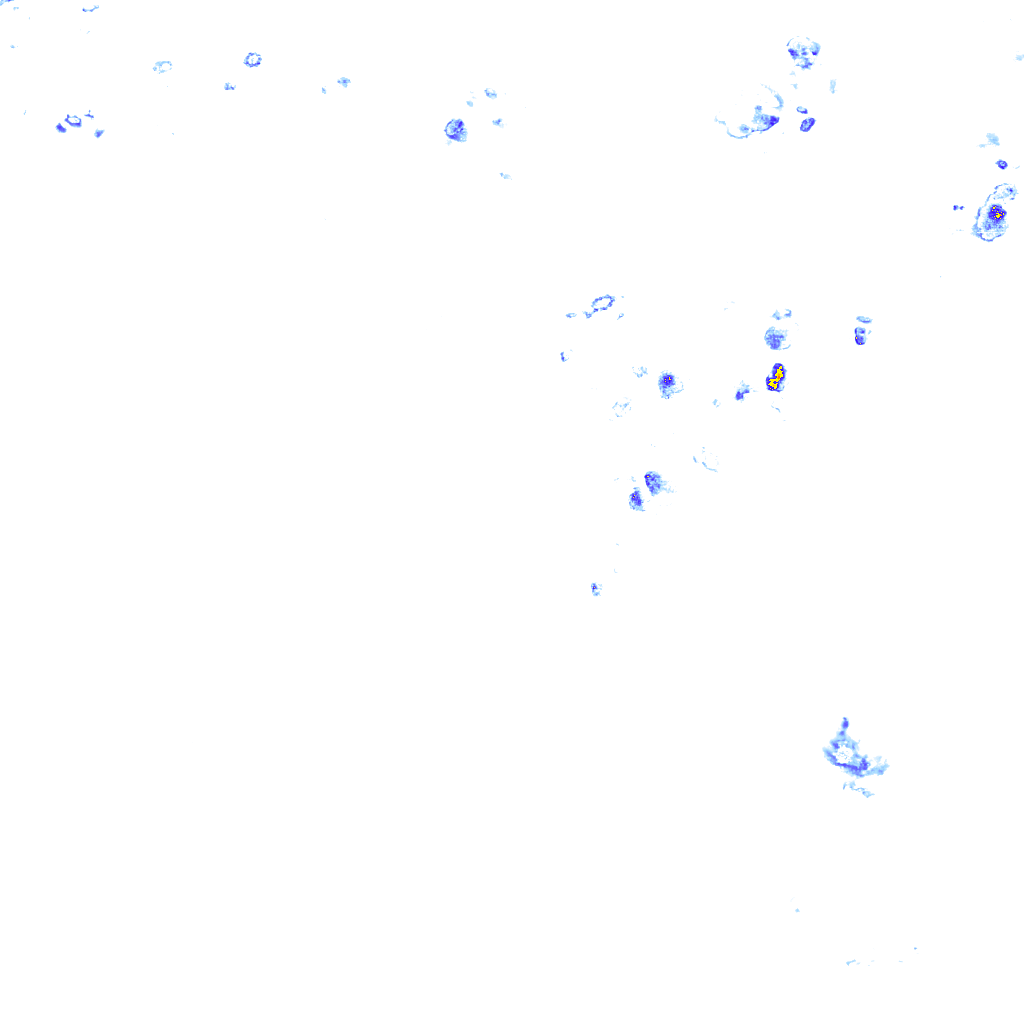rainLayer