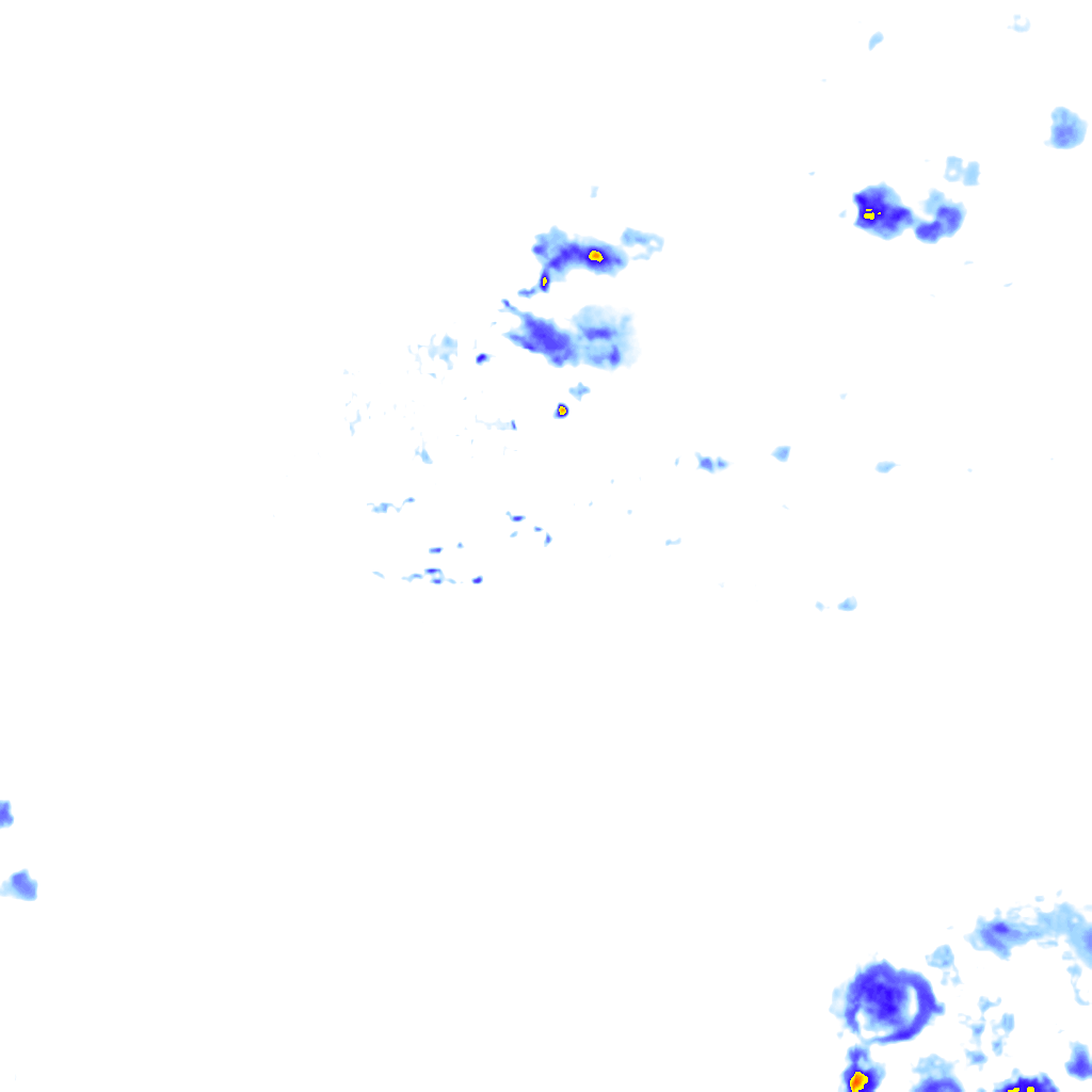 rainLayer