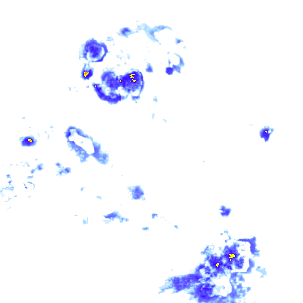 Image Layer