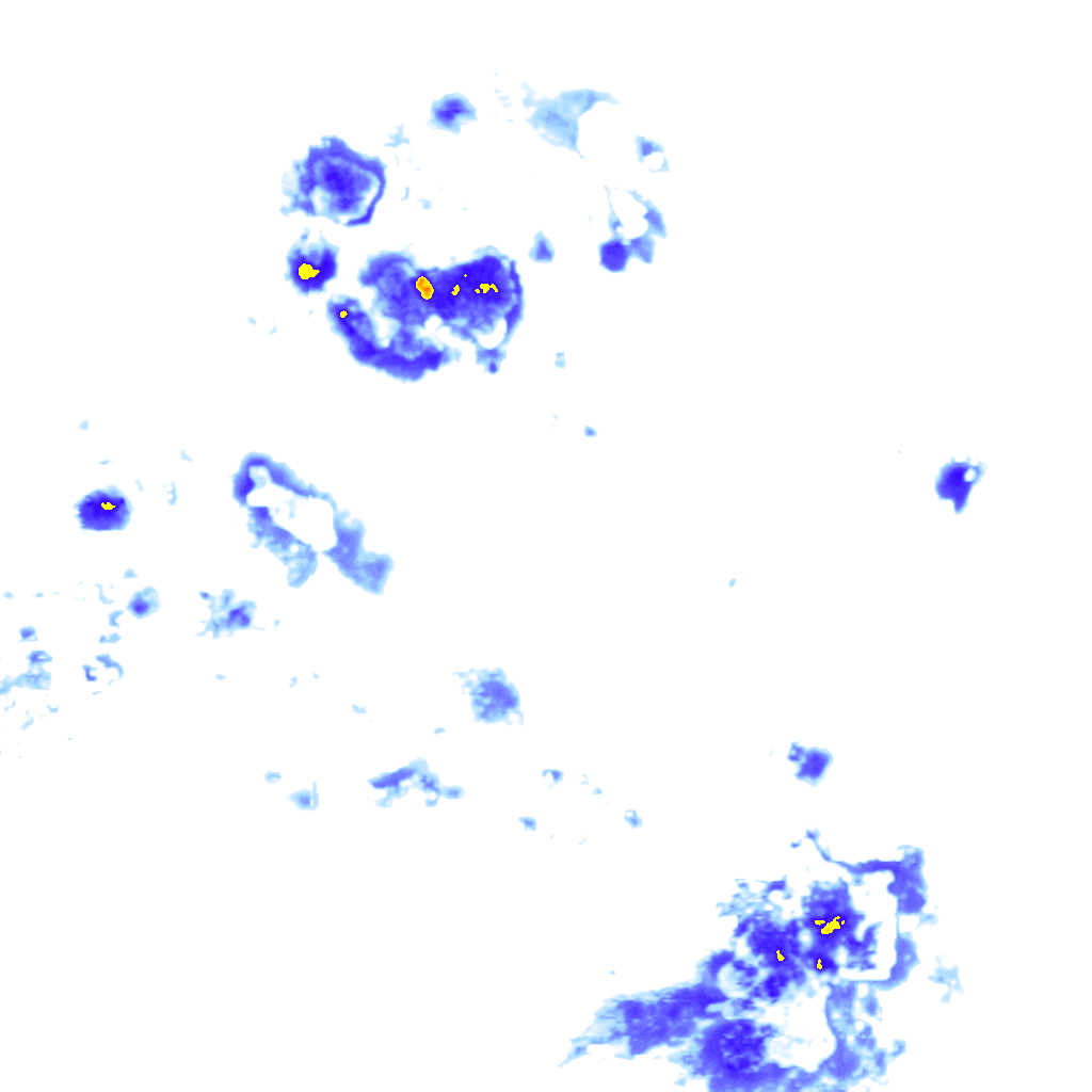 rainLayer