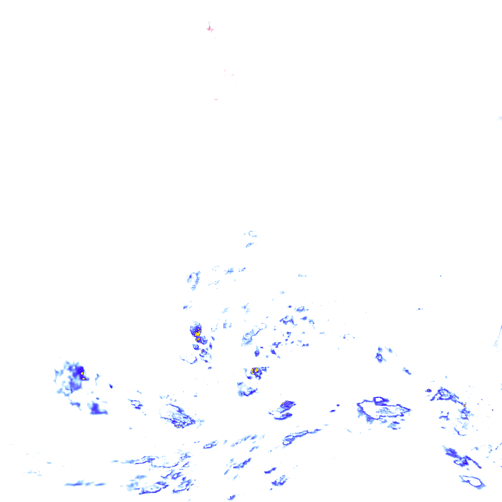 rainLayer