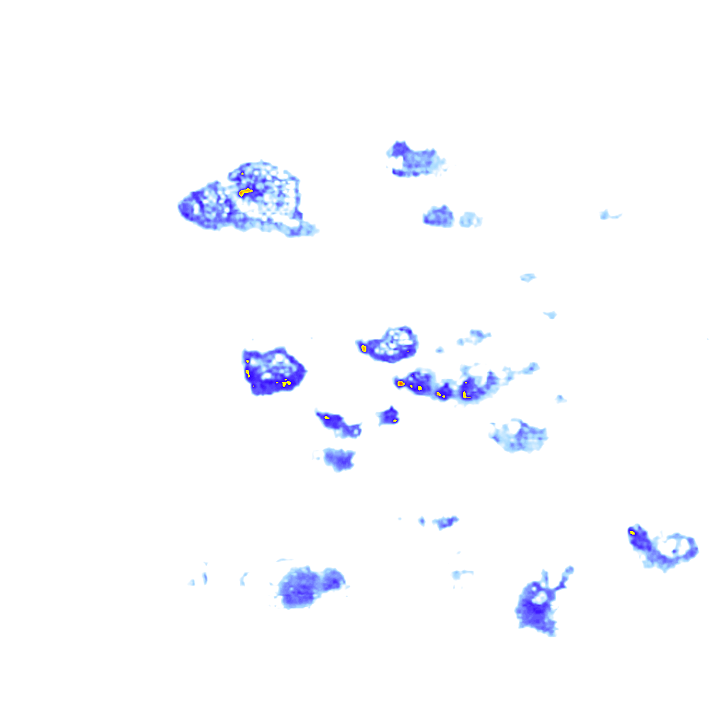 Image Layer