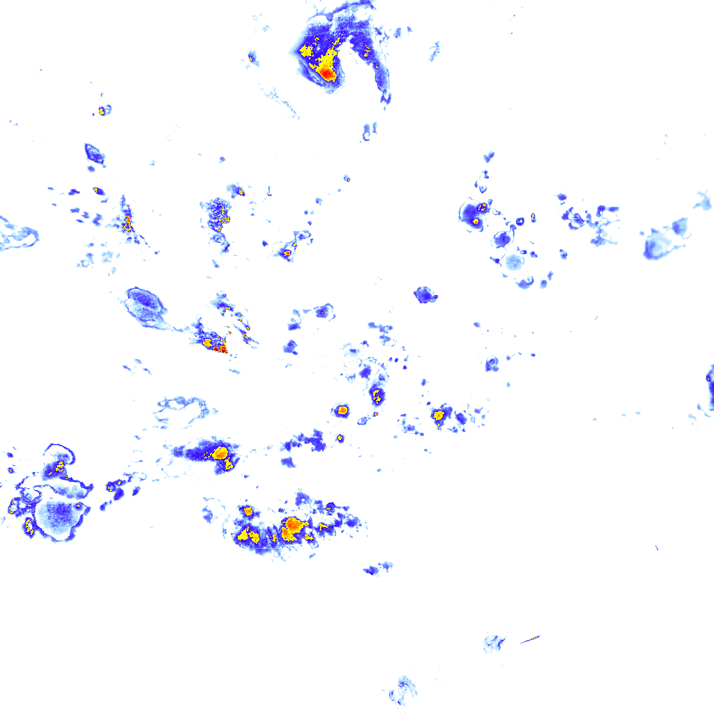 rainLayer
