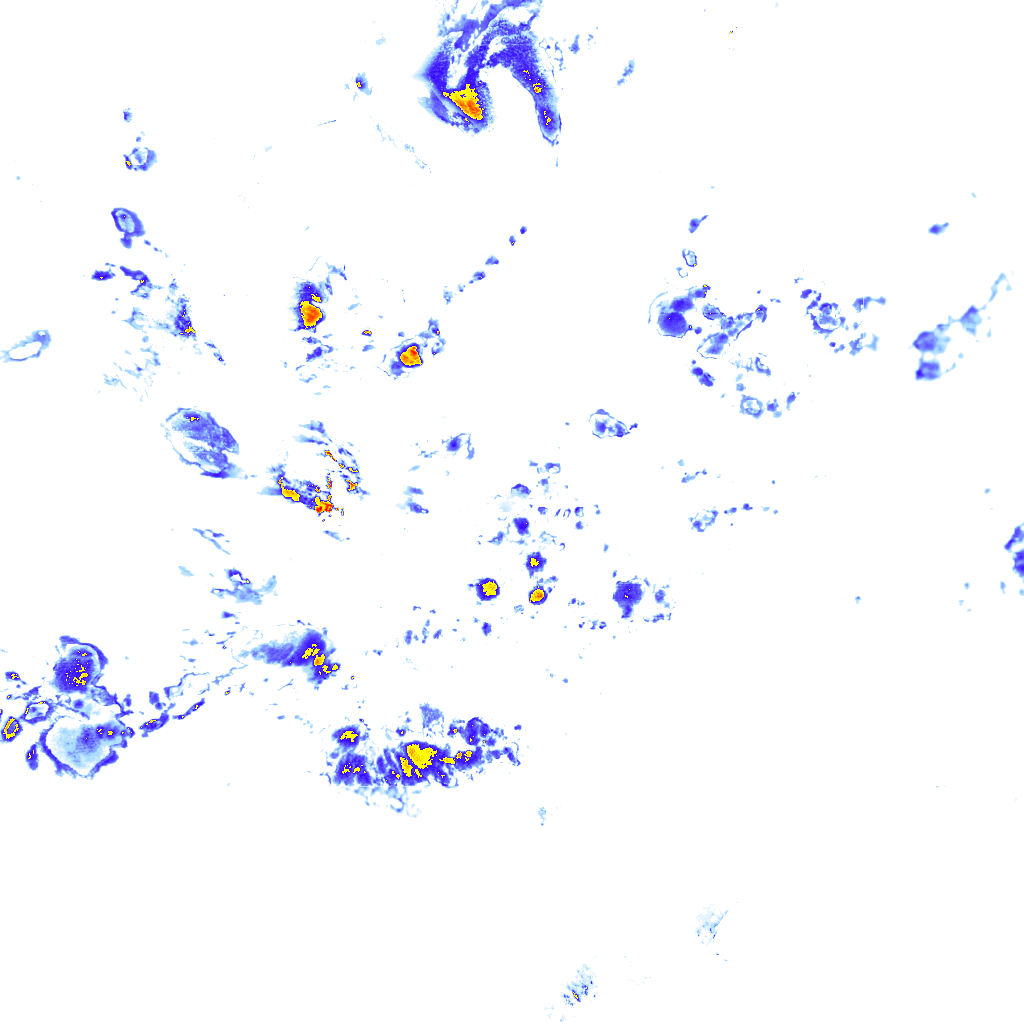 rainLayer
